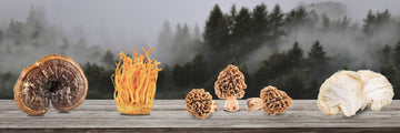 Gourmet Mushrooms