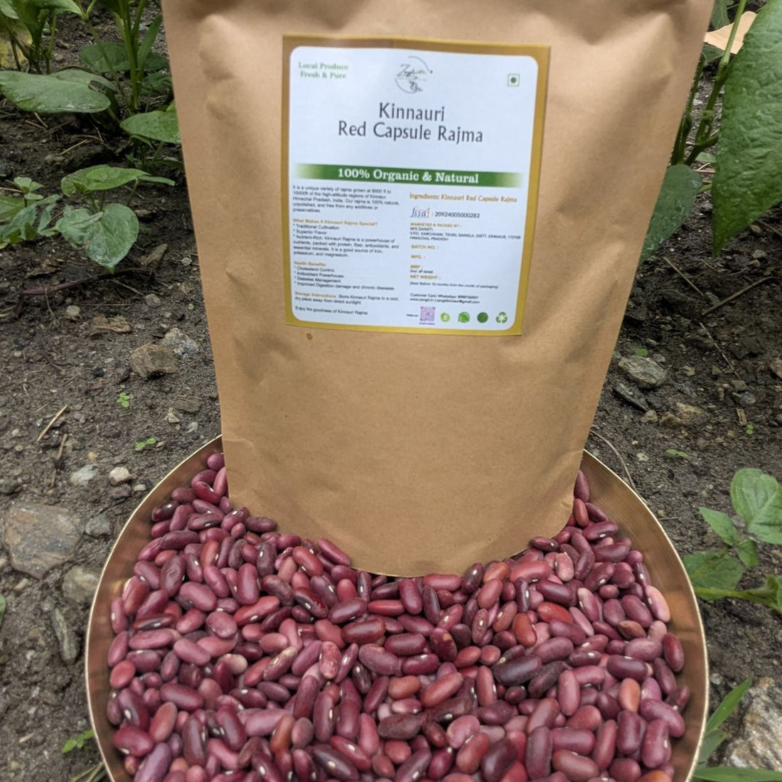 Kinnauri Rajma (Kidney Beans) | Zangti