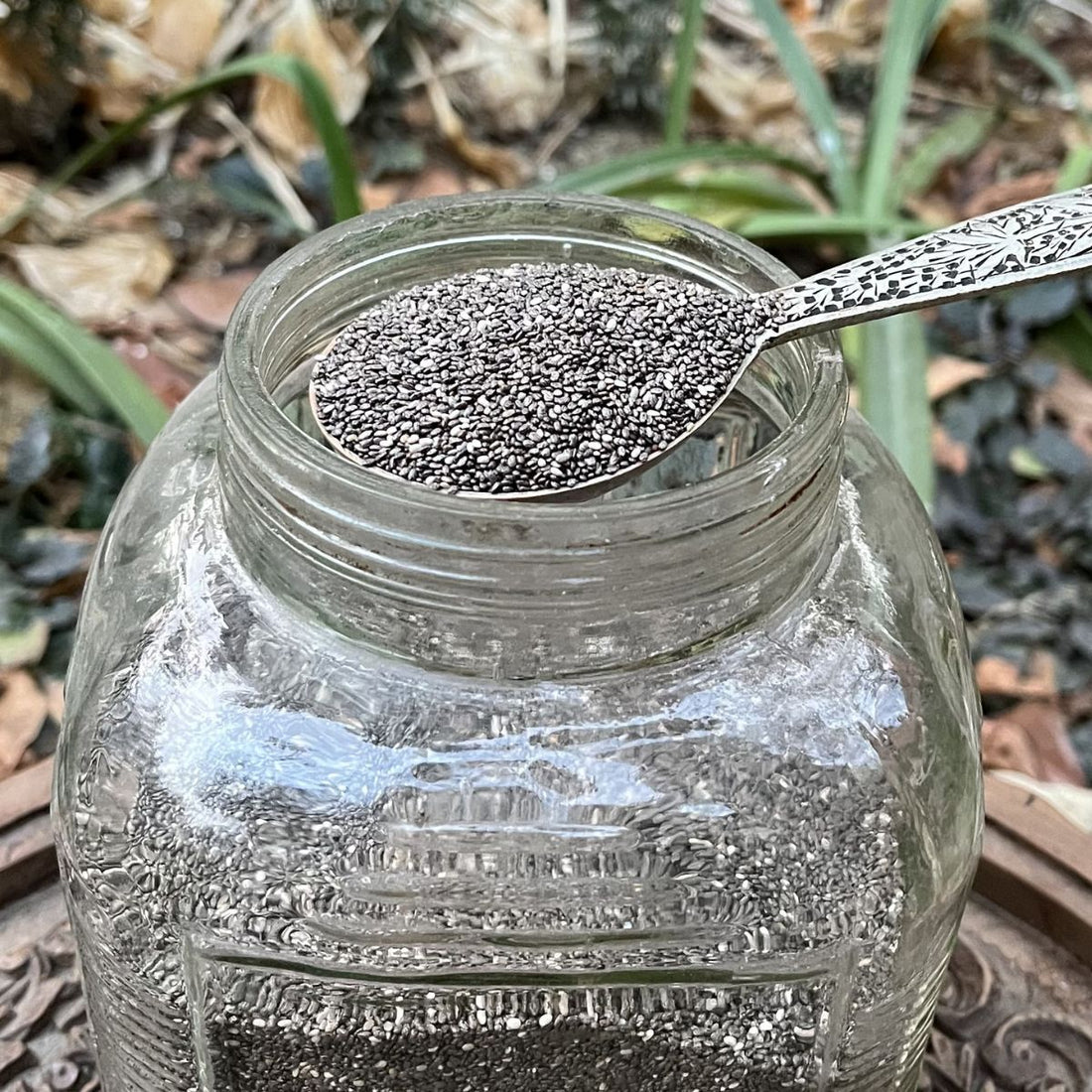 Raw Chia Seeds for fiber