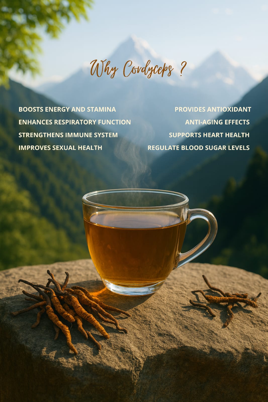 Himalayan Cordyceps tea from Bhutan
