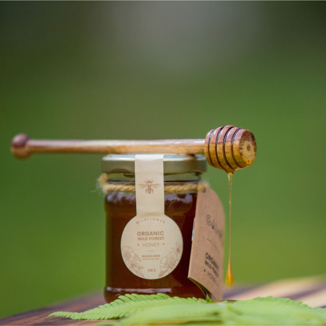 stingless bee honey online