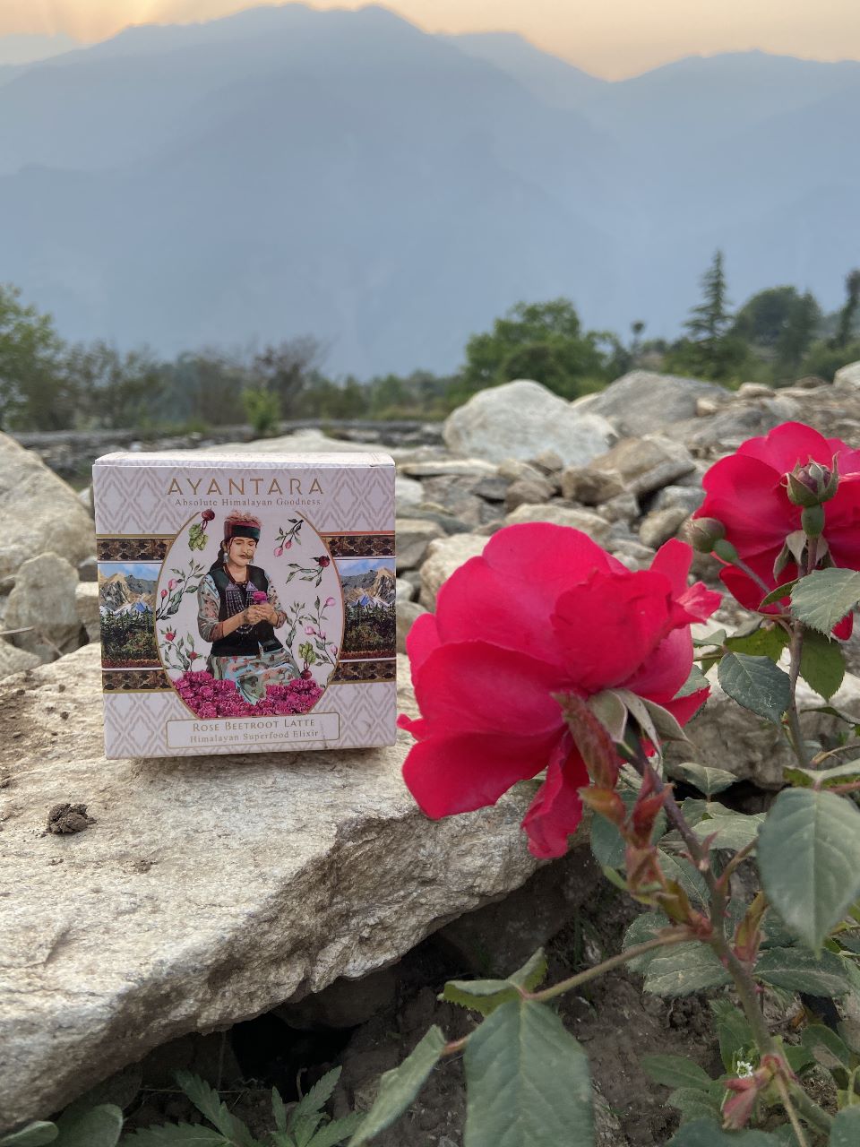 Rose beat latte herbal tea