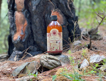 Fire Cider No 1 (Infused Apple Cider Vinegar Tonic) | Kuninda