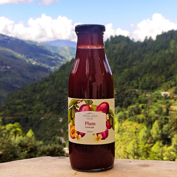 Plum Cooler 500ml | Himalayan Haat