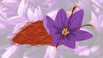 Benefits of Drinking Kesar Water Daily