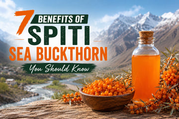 Benefits of Spiti Sea Buckthorn