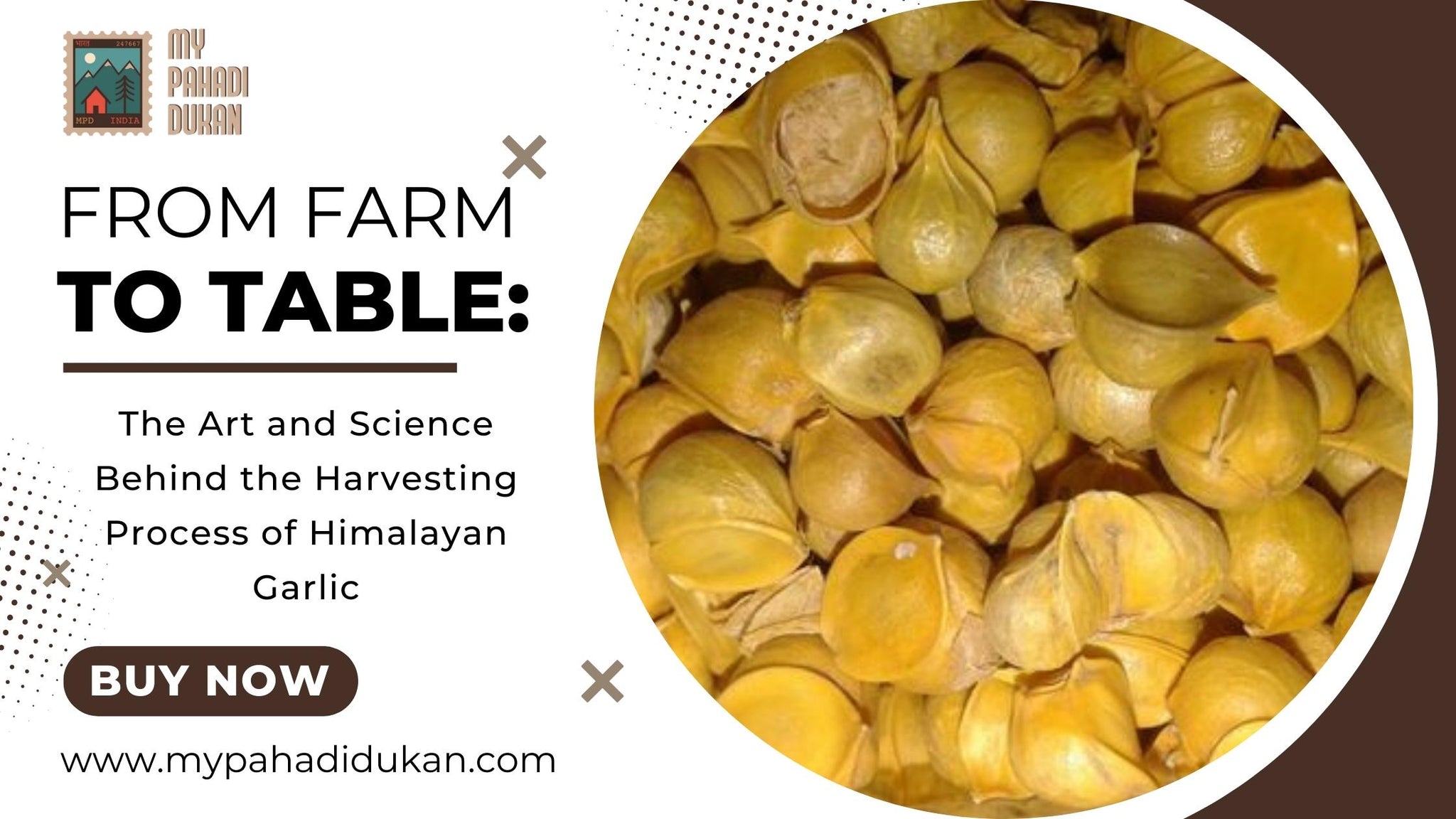 buy-himalayan-garlic-online