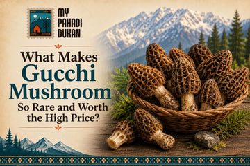 Gucchi Mushroom Price in India
