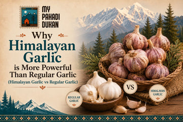 Himalayan Garlic