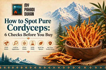 Pure Cordyceps