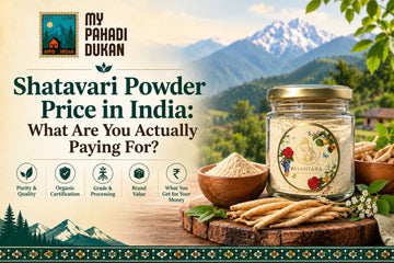 Shatavari Powder Price in India