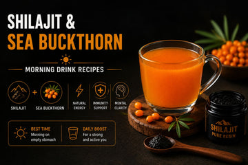 Shilajit and Sea Buckthorn Morning Drink Recipes for Energy