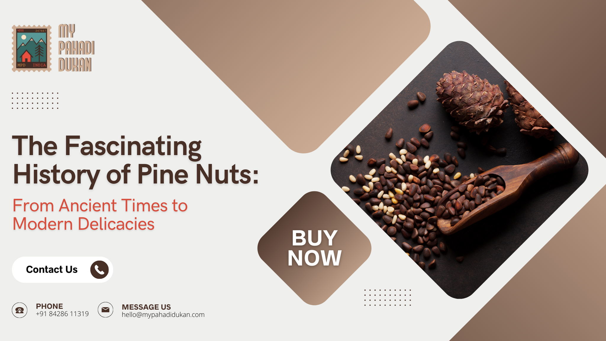 The Fascinating History of Pine Nuts: From Ancient Times to Modern Delicacies