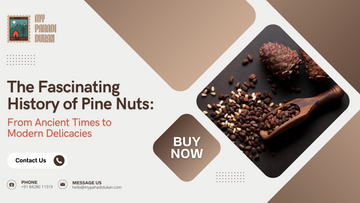 The Fascinating History of Pine Nuts: From Ancient Times to Modern Delicacies