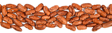 Himalayan Rajma (Kidney Beans) Varieties: Unveiling Health Benefits for Optimal Well-being - My Pahadi Dukan
