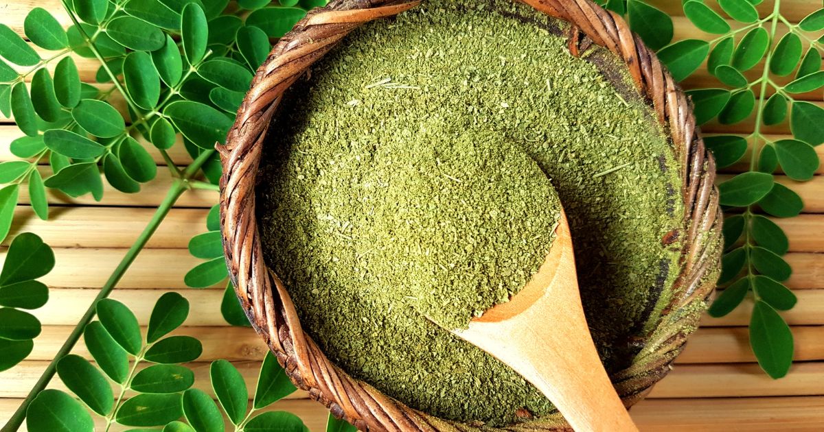 The Power of Himalayan Moringa Leaf Powder