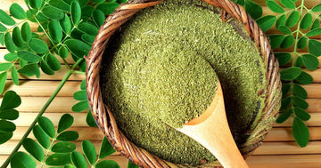 The Power of Himalayan Moringa Leaf Powder