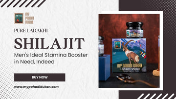 Pure Ladakhi Shilajit: Men's Ideal Stamina Booster in Need, Indeed