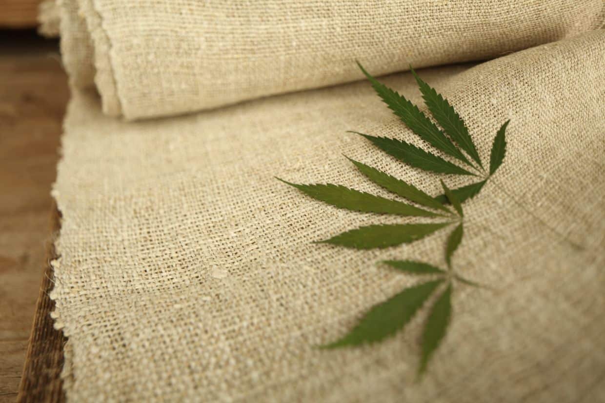 What is Hemp? The myths, the facts and the application of this wonder plant - My Pahadi Dukan