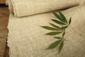 What is Hemp? The myths, the facts and the application of this wonder plant - My Pahadi Dukan