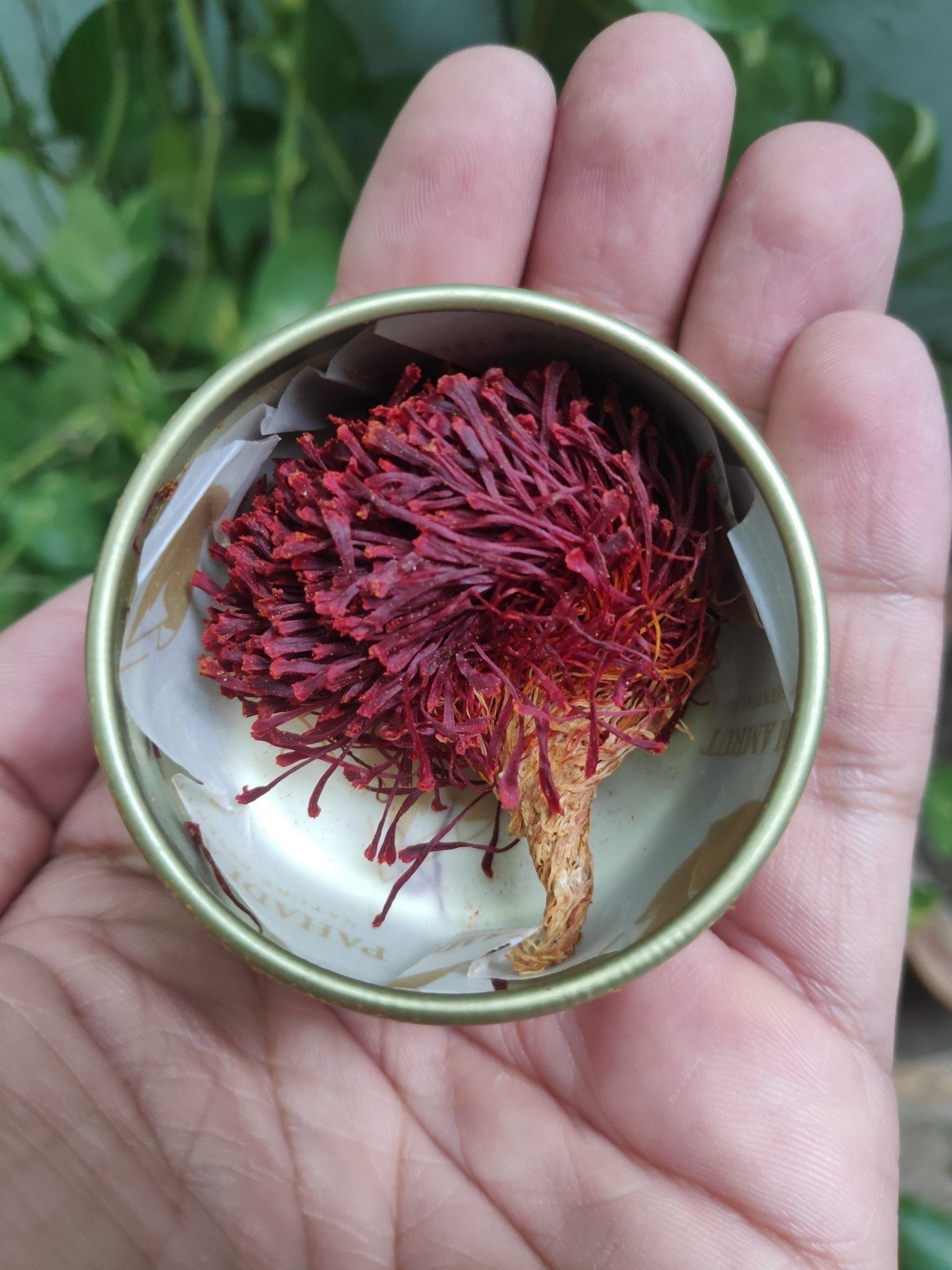 What is Kashmiri Saffron? - My Pahadi Dukan
