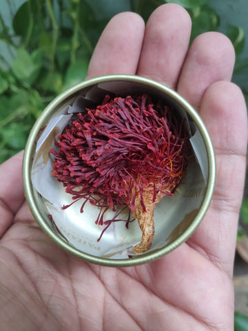 What is Kashmiri Saffron? - My Pahadi Dukan