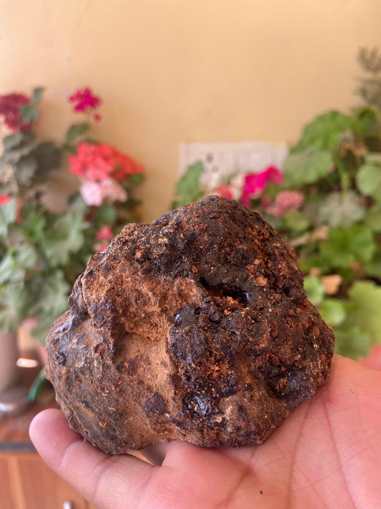 What is Ladakhi Shilajit? - My Pahadi Dukan