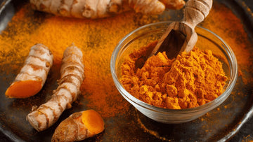 What is Lakadong Turmeric? Is it something special or same as regular turmeric in your kitchen? - My Pahadi Dukan