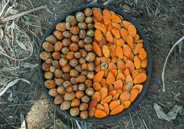 Himalayan Herbs - My Pahadi Dukan