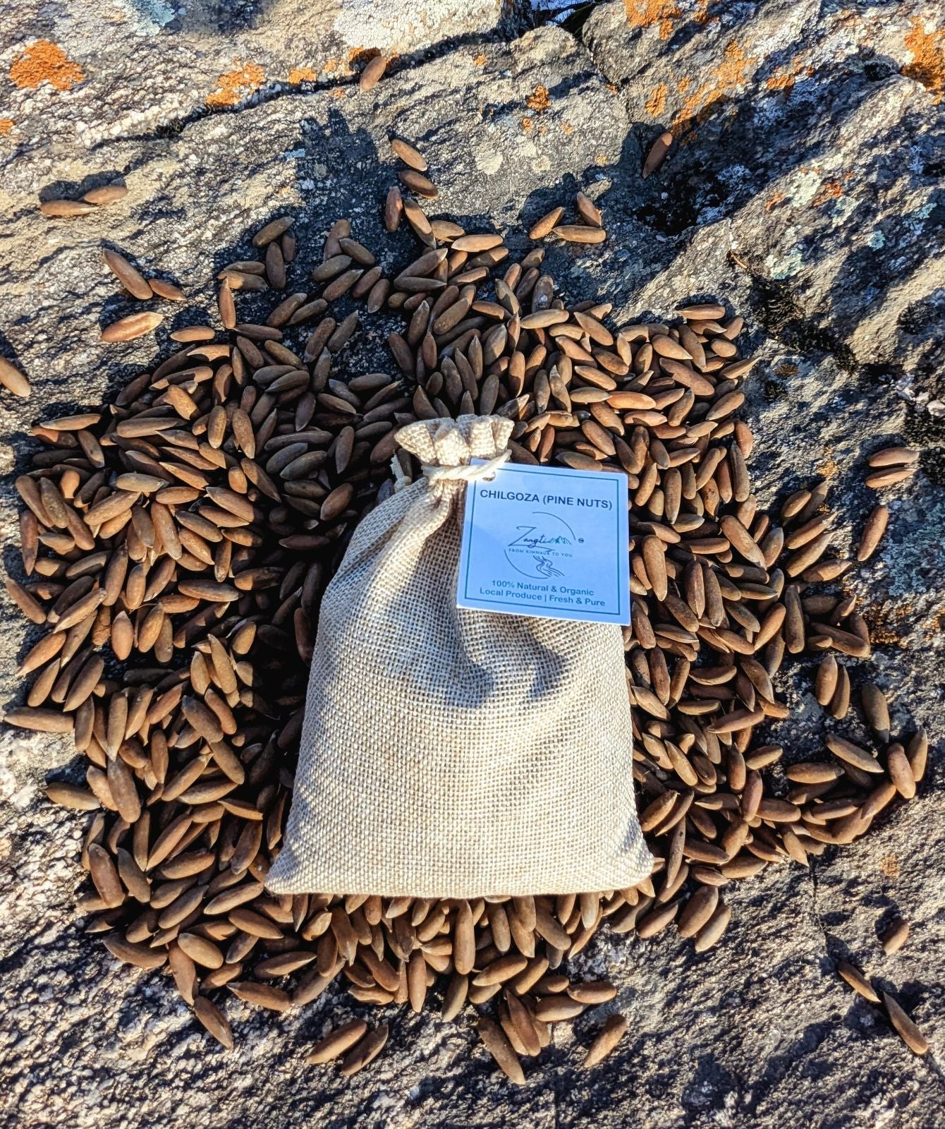 Pine Nuts/Chilgoza (nyoje) - with shell | Zangti