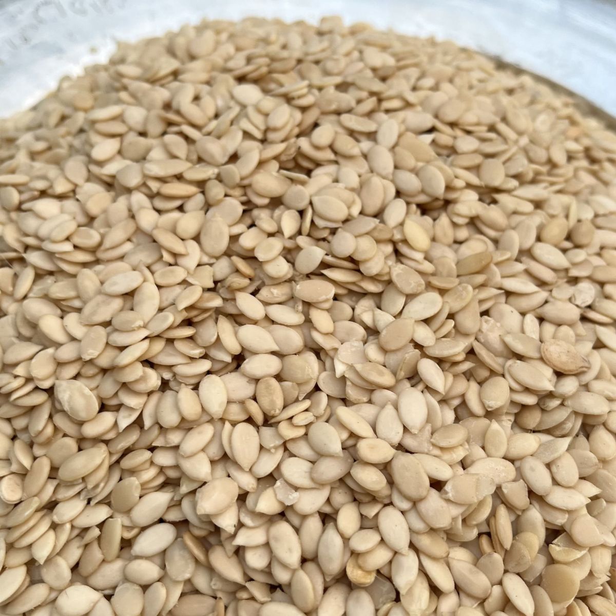 Raw Sunflower Seeds