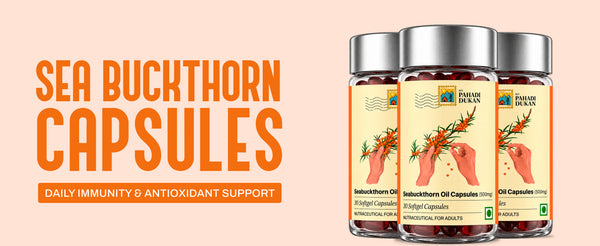 Seabuckthorn Oil Capsules (500mg Concentration) - 30 Capsules | My Pahadi Dukan