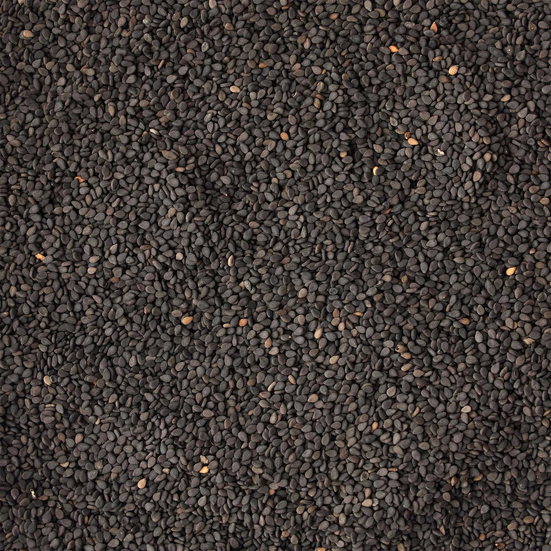 Black Sesame Seeds | Pahari Roots