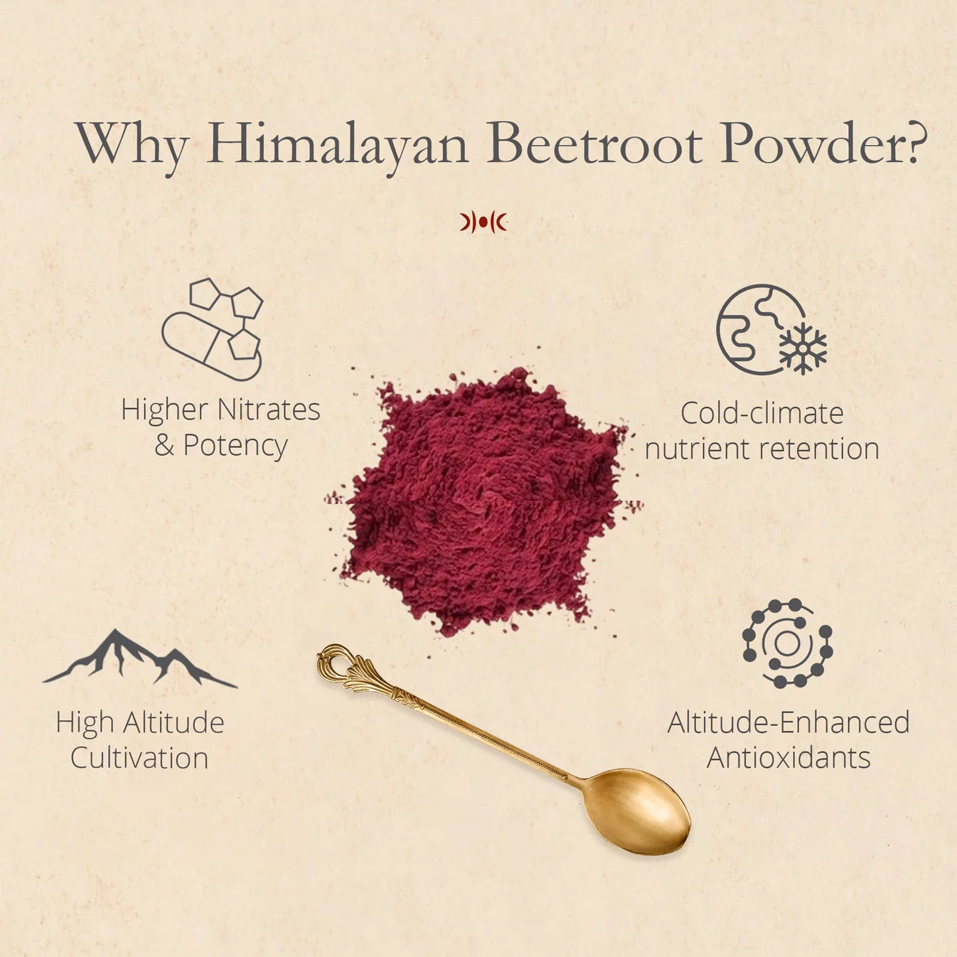 Himalayan Beetroot Powder | 100 % Pure & Natural | Ayantara