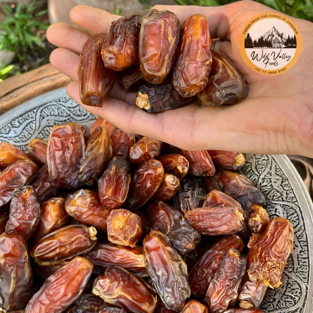 Buy Mabroom Dates | Wild Valley Foods - My Pahadi Dukan - Dates Online