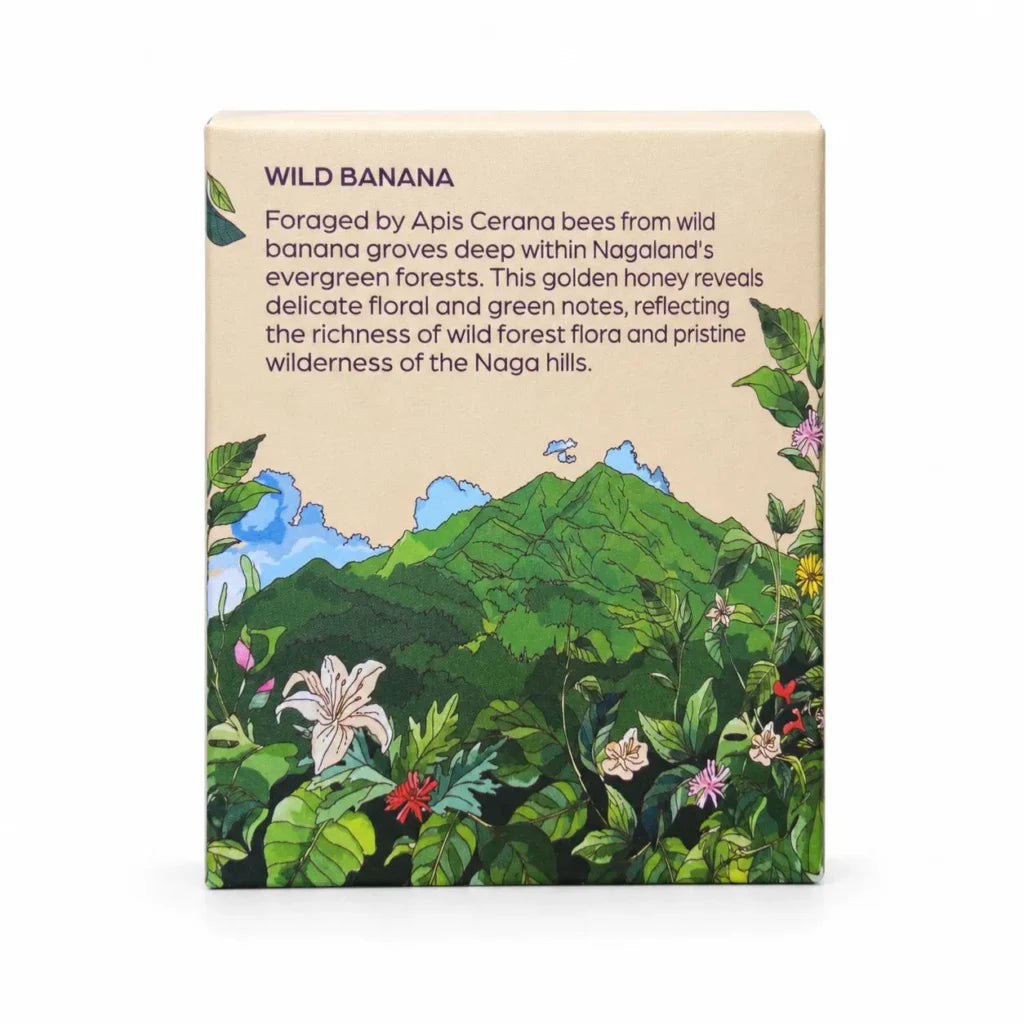 Apis Cerana Honey Wild Banana | Galho