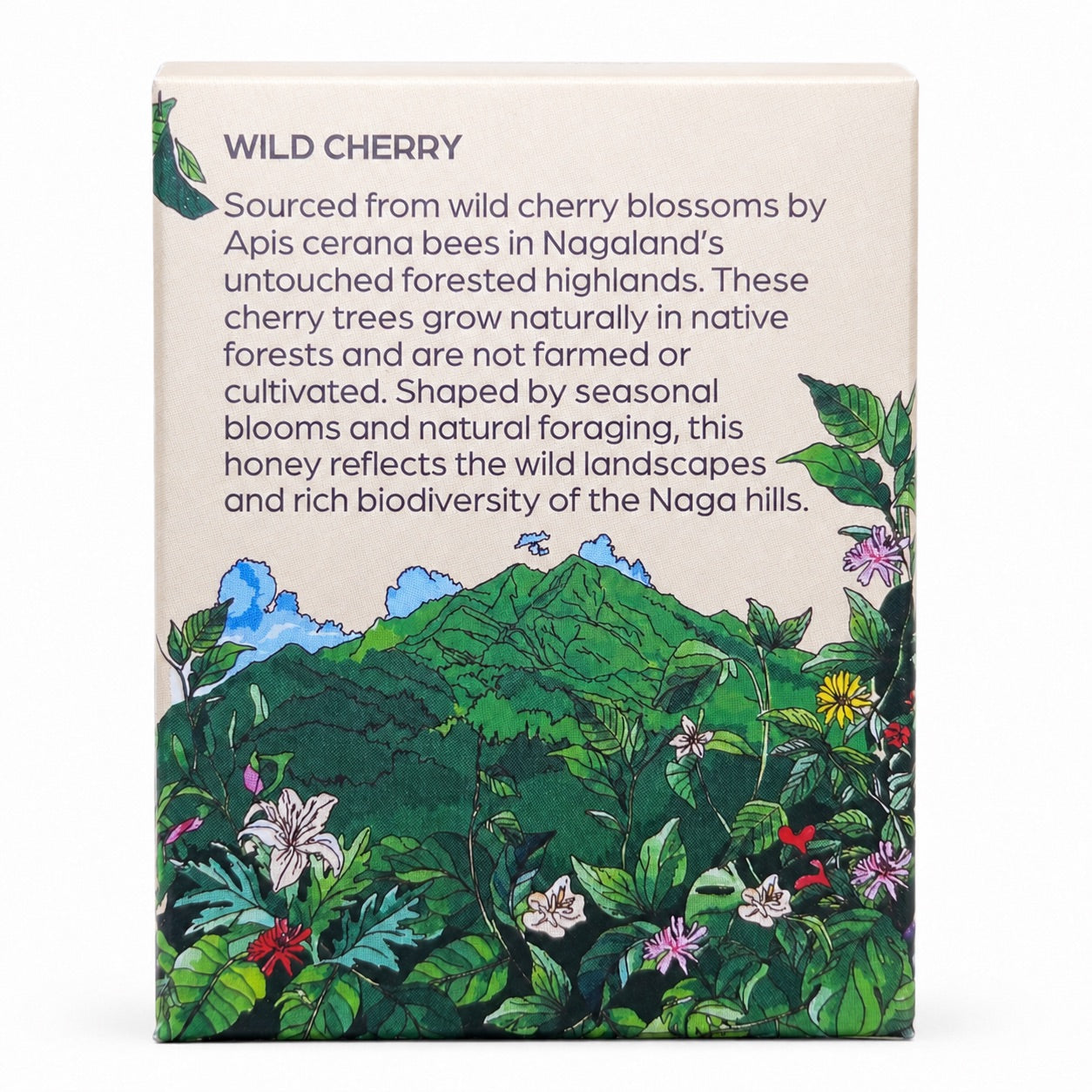 Apis Cerana Wild Cherry Honey | Galho