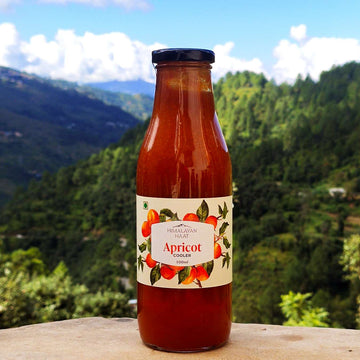 Choose from 5 Summer Coolers (Pack of 2 - 500ml each) | Himalayan Haat