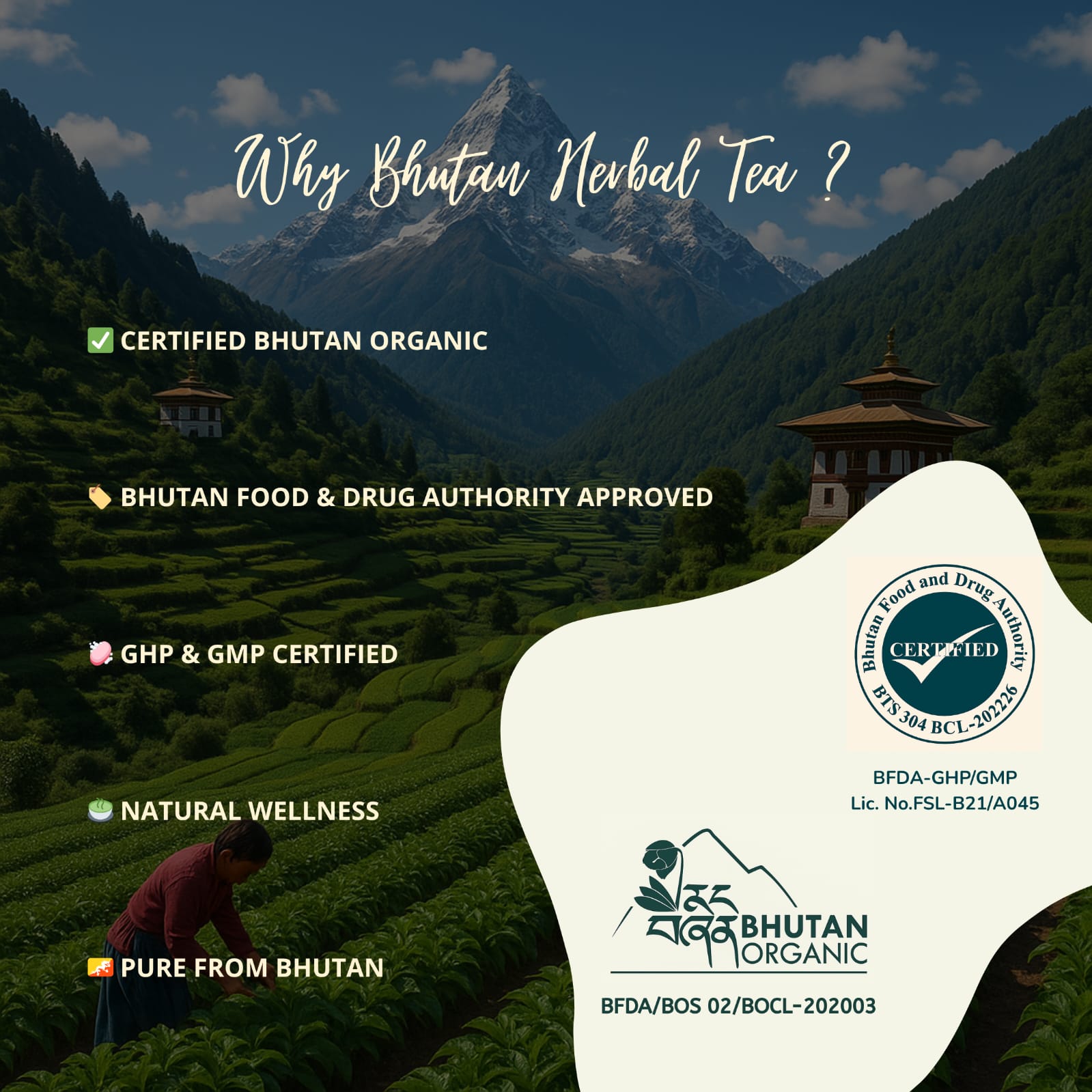 Himalayan Seabuckthorn Herbal Tea | Bhutan Herbal Tea