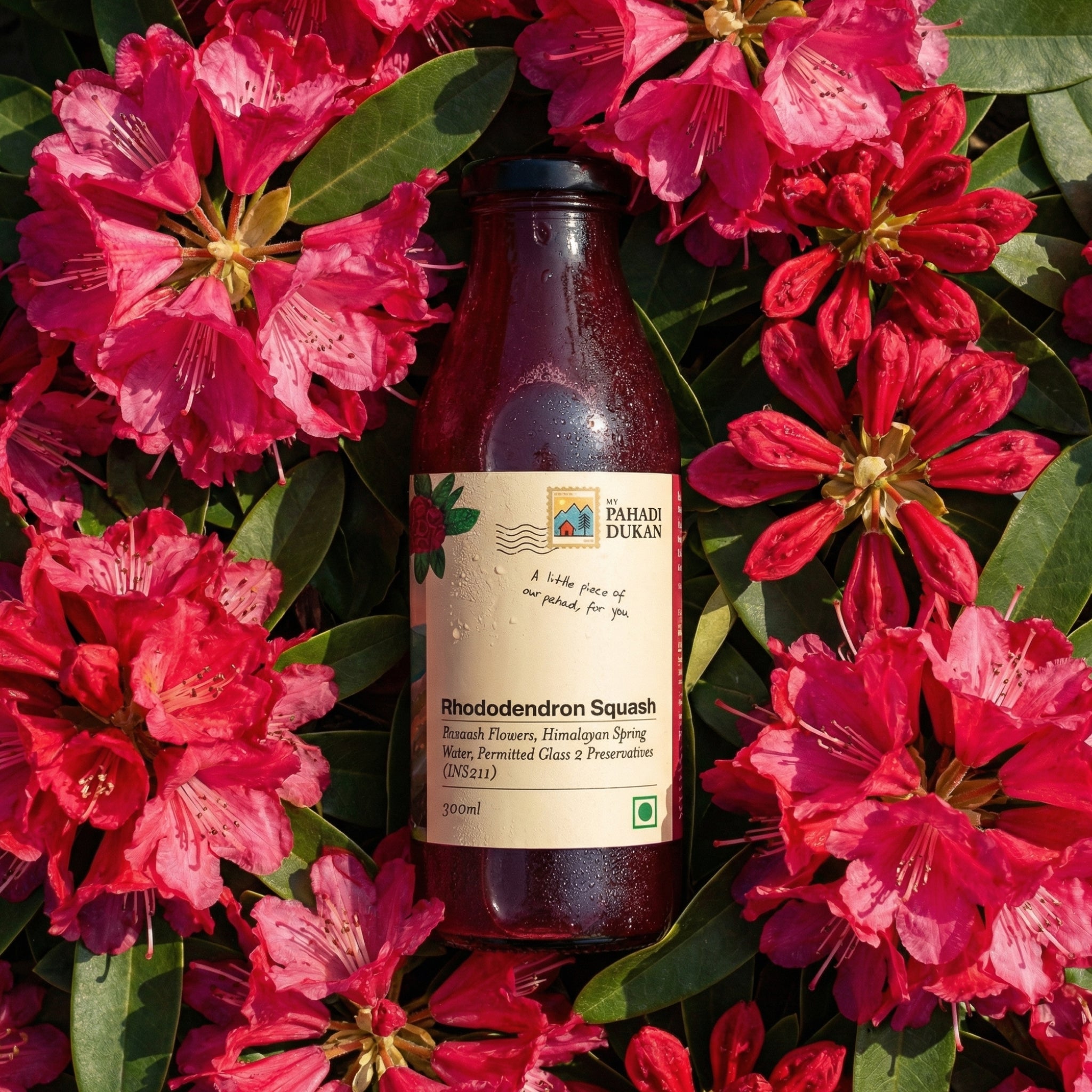 Buransh Sanjivni Flower Juice (Rhododendron Squash) 300ml | My Pahadi Dukan
