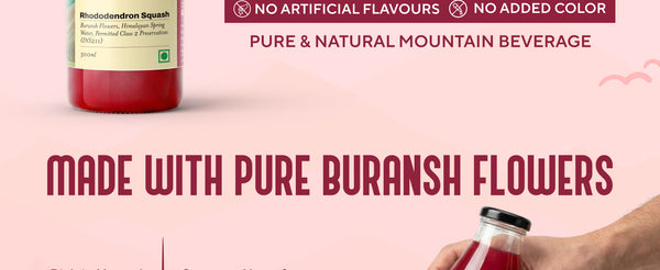 Combo Strawberry Lime Squash 300ml + Buransh Rhododendron Squash 300ml | My Pahadi Dukan