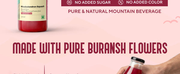 Buransh Sanjivni Flower Juice (Rhododendron Squash) - 300ml | My Pahadi Dukan