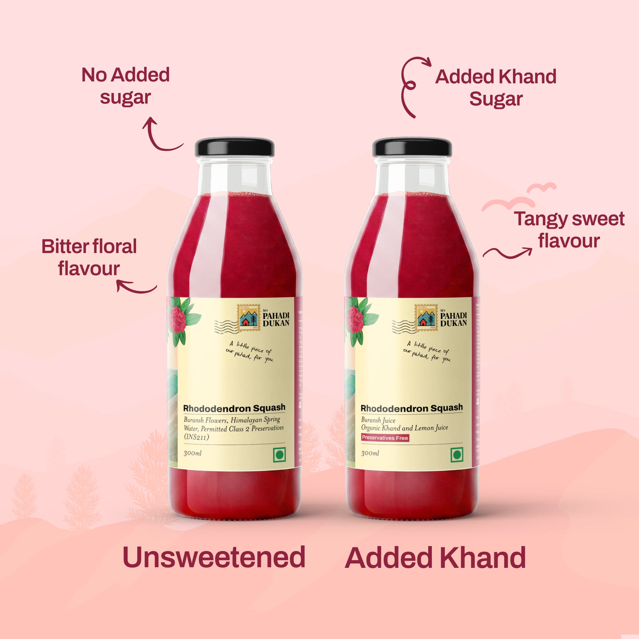 Combo Strawberry Lime Squash 300ml + Buransh Rhododendron Squash 300ml | My Pahadi Dukan
