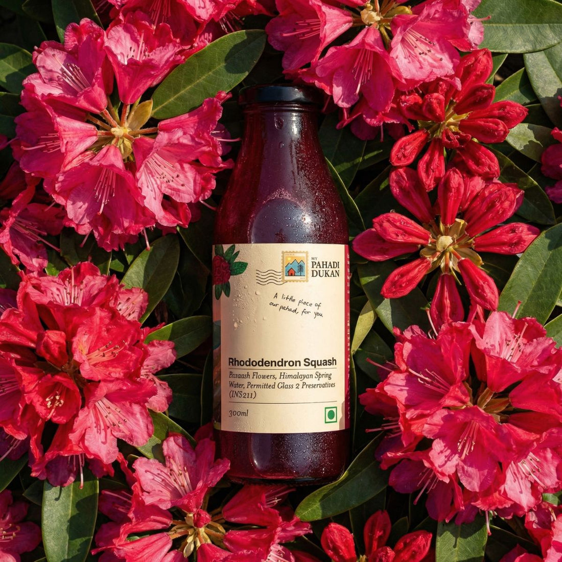 Combo Sea Buckthorn Pulp Juice (300ml) + Buransh (Rhododendron Squash) (300ml) | My Pahadi Dukan