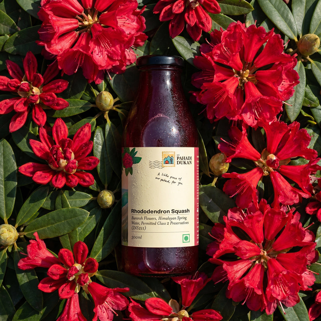 Combo Sea Buckthorn Pulp Juice (300ml) + Buransh (Rhododendron Squash) (300ml) | My Pahadi Dukan