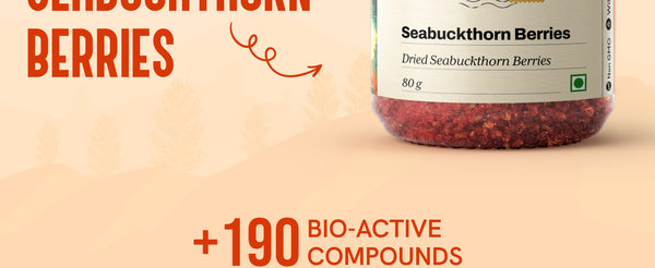 Premium Sea Buckthorn Berries (Dried Seabuckthorn) | My Pahadi Dukan