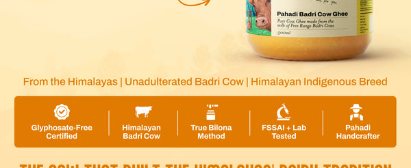 Pahadi Badri Cow Ghee (Desi Pahadi Ghee) | My Pahadi Dukan