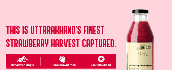 Strawberry Lime Squash - 300ml | My Pahadi Dukan