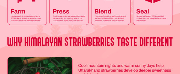Strawberry Lime Squash - 300ml | My Pahadi Dukan