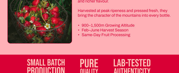 Strawberry Lime Squash - 300ml | My Pahadi Dukan